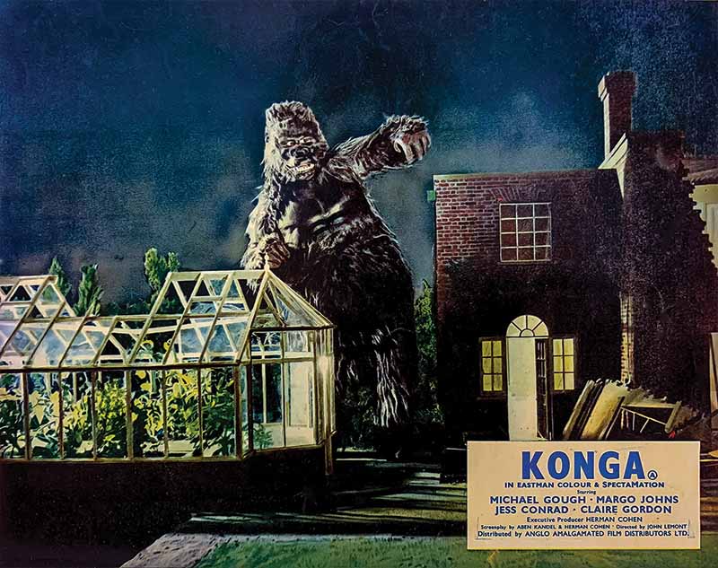 Konga menaces a greenhouse