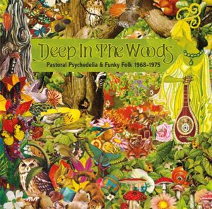 Album Sleeve Deep In The Woods