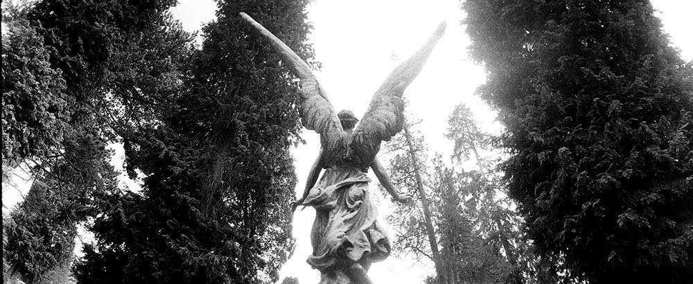 Angel, Brookwood. Photo: H.E. Sawyer