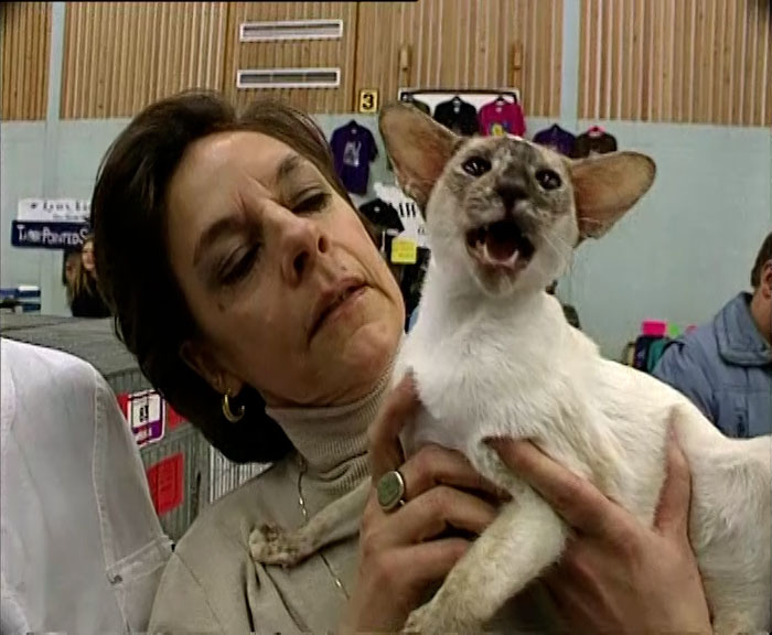 Lady holding a cat